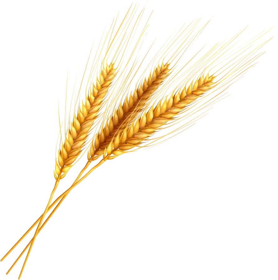 Our Rooms 1 Oats, Bailey, Wheat Leaves, The Wheatbaker, Hotel, Lagos